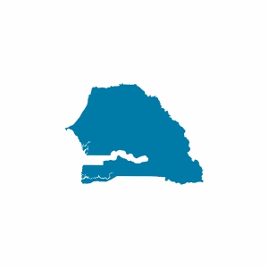 Senegal Vizesi